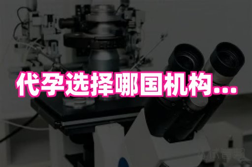 成都助孕网站 1