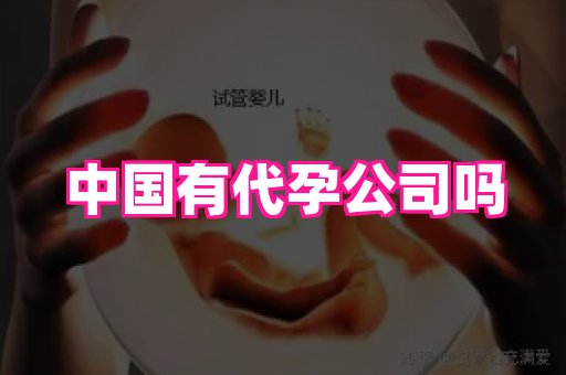 成都助孕网站 2