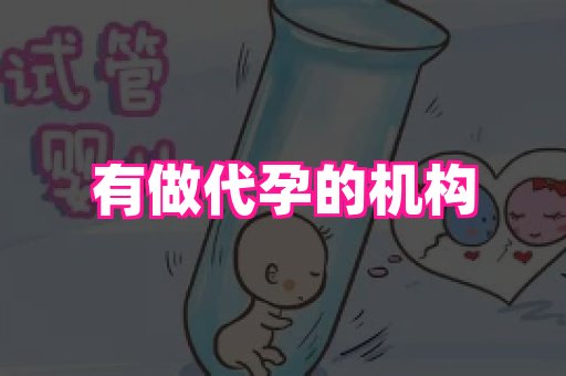 成都助孕网站 4